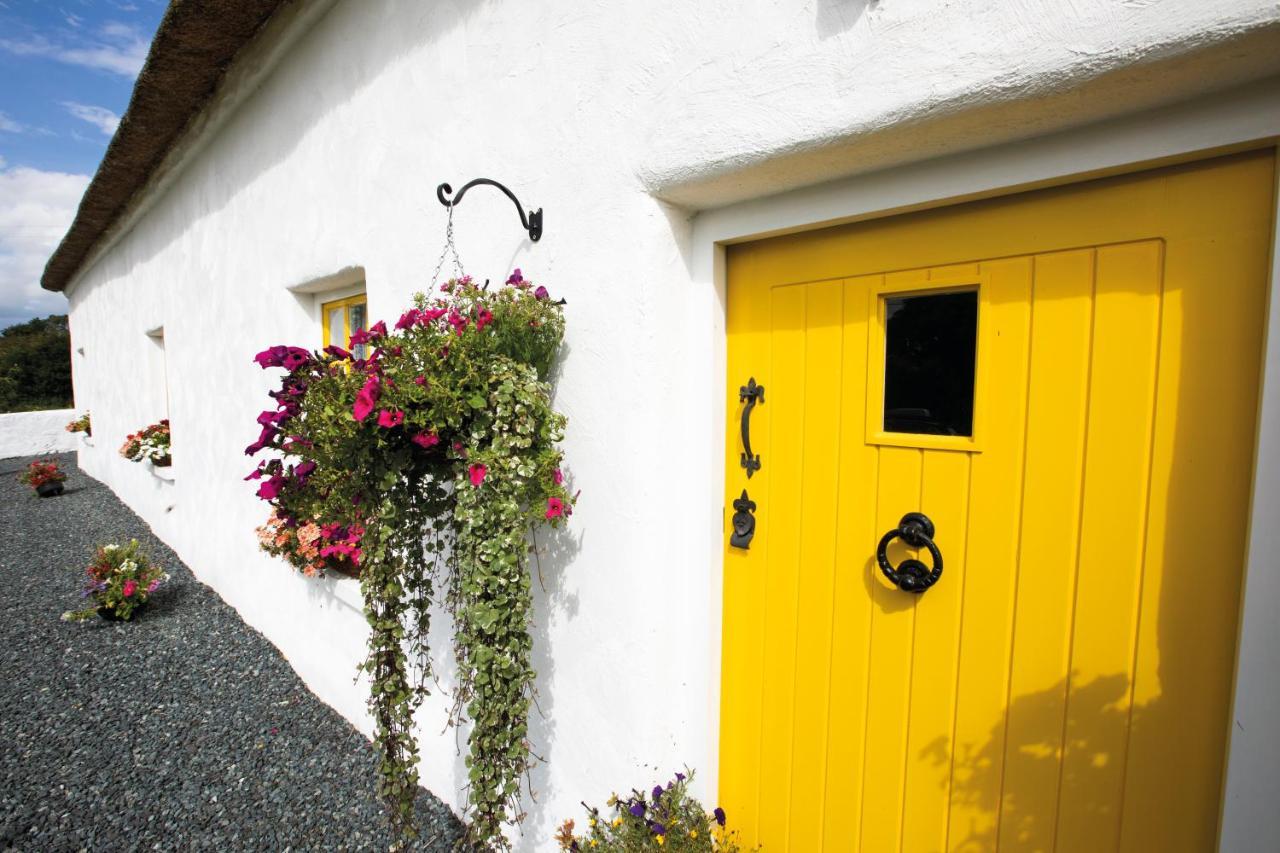 Katie'S Cottage Bellaghy Extérieur photo